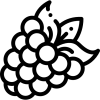 framboesa (1)
